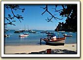 Boats